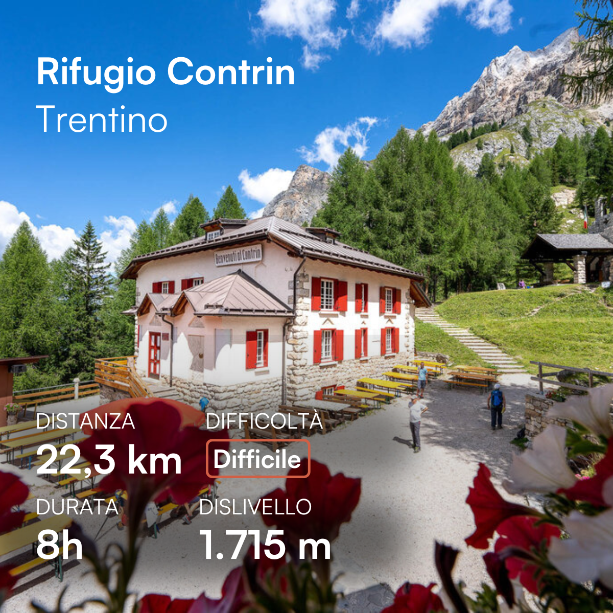 trekking-del-sentiero-della-pace-dal-passo-san-pellegrino-a-rifugio-contrin