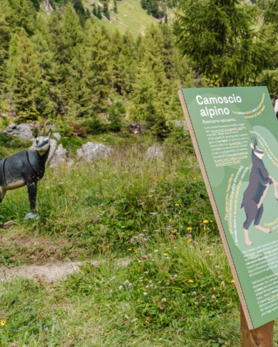 trekking-sentiero-degli-animali