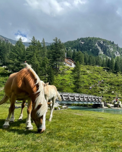 trekking-val-di-fumo