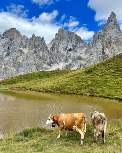 trekking-panoramici-trentino