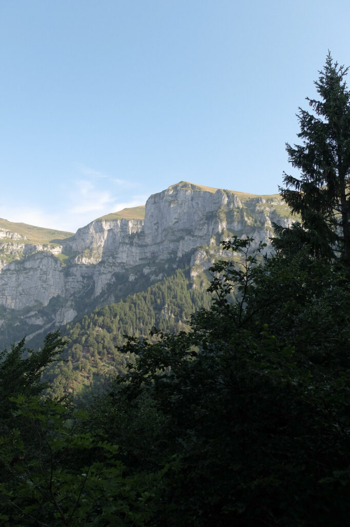 Sentiero che porta al RIfugio Dal Piaz
