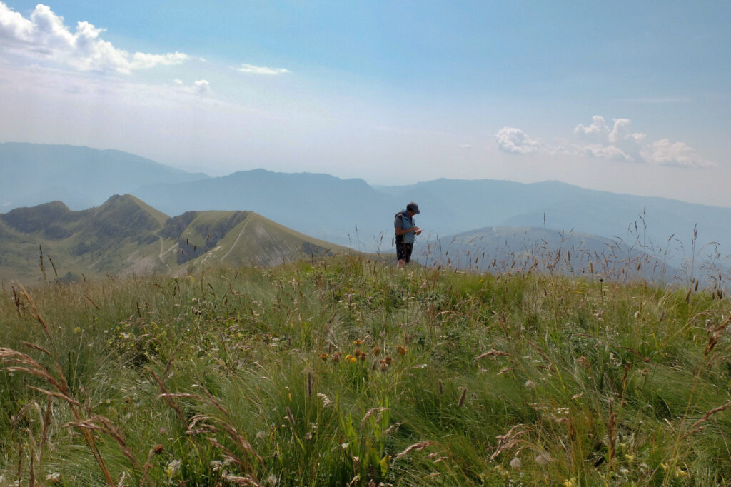 Vista dal COl di Luna