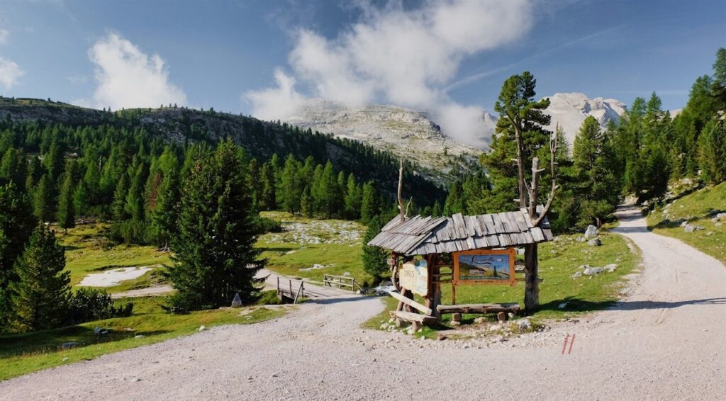 Strada forestale che porta al Rifugio Lavarella