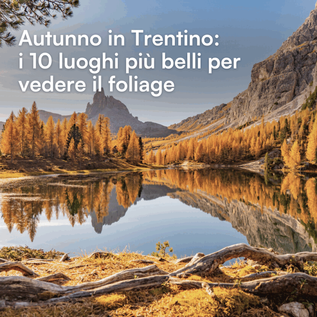Foliage Trentino trekking