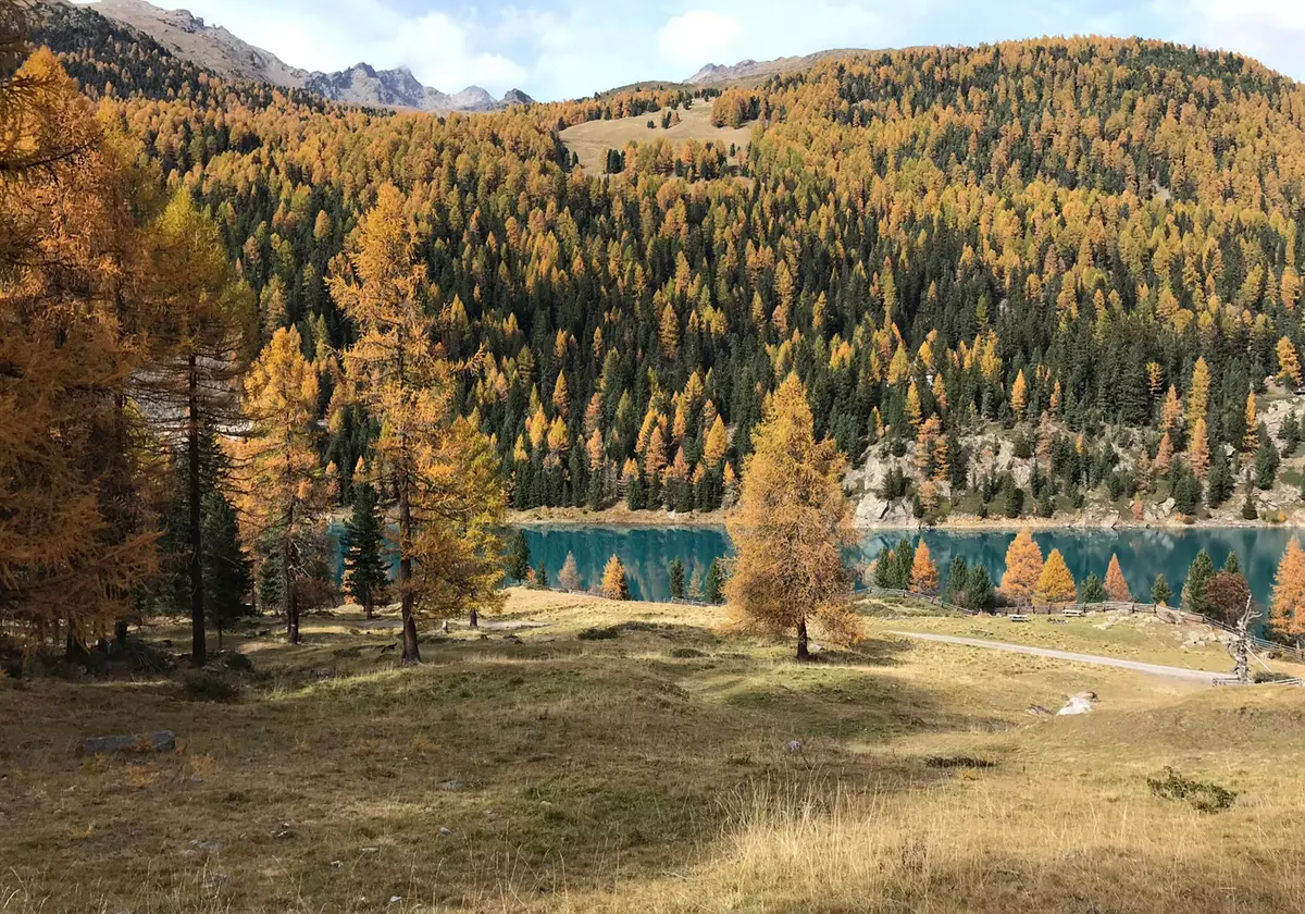Val Martello