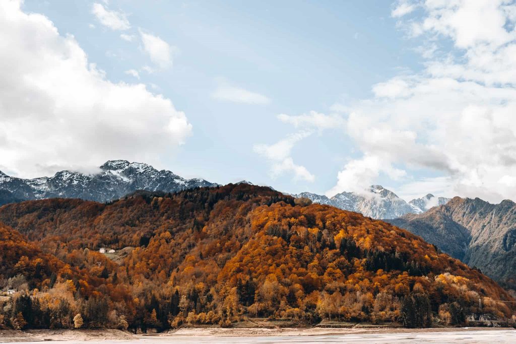 Alpi Carniche