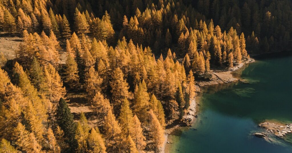 Val di Pejo