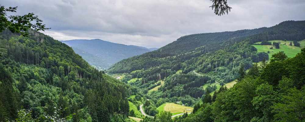 Trekking Foresta Nera, Germania