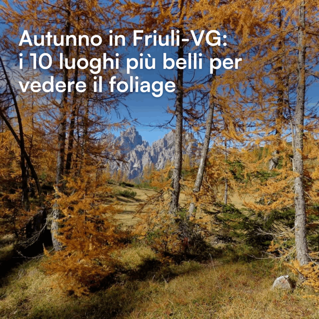 Foliage Friuli-VG trekking