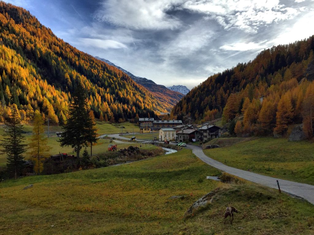 Valgrisenche foliage Valle d'Aosta